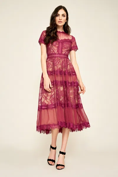 Tadashi Shoji Official Online Boutique Camilla Tea-length Dress With Detachable Lining In Burgundy