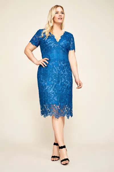 Tadashi Shoji Official Online Boutique Carter Floral Lace Dress In Blue