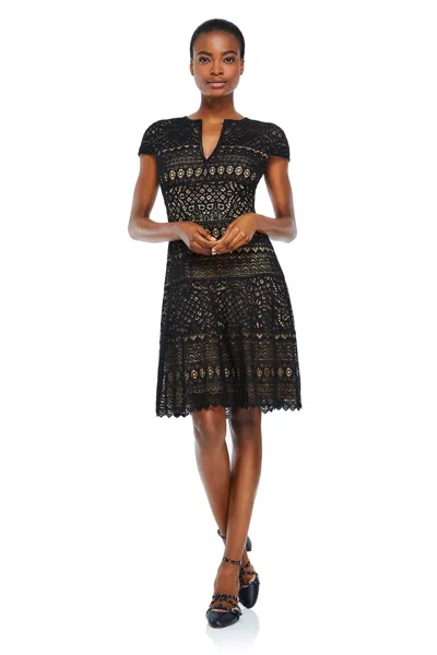 Tadashi Shoji Official Online Boutique Edna Dress In Burgundy