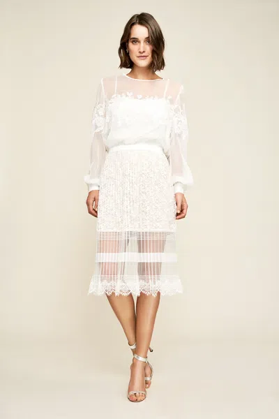Tadashi Shoji Official Online Boutique Jaxon Pleated Lace Skirt In White