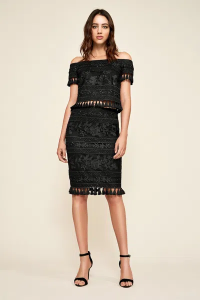 Tadashi Shoji Official Online Boutique Monyca Embroidered Pencil Skirt In Black