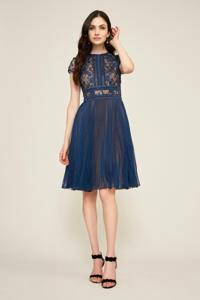 Tadashi Shoji Official Online Boutique Zivan Flared Lace Dress In Blue