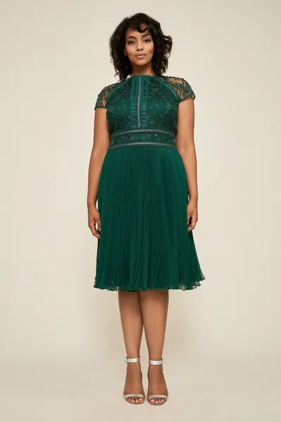 Tadashi Shoji Official Online Boutique Zivan Flared Lace Dress In Green