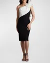 Tadashi Shoji One-shoulder Two-tone Taffeta & Crepe Dress In Multi