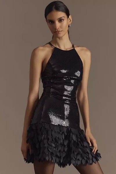 Tadashi Shoji Sho By  Sequin Fit & Flare Mini Dress In Black