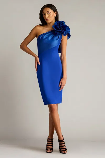 Tadashi Shoji Textured Crepe And Taffeta One Shoulder Dress In Multi