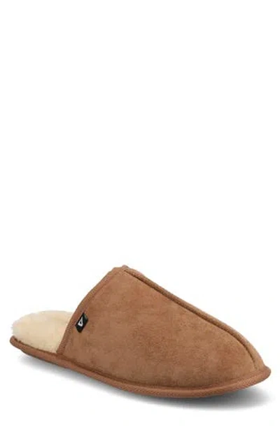 Taft Duncan Faux Shearling Scuff Slipper In Chestnut