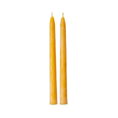 Tag Beeswax Dipped Taper Candles Honey Yellow Set Of 2