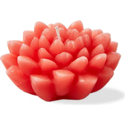 Tag Blossom Flower Shaped Pink Paraffin Wax Candle Novelty