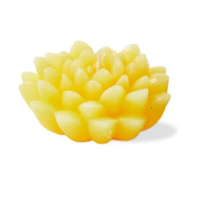 Tag Blossom Flower Shaped Yellow Paraffin Wax Candle 2.5 Hours