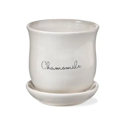Tag Chamomile Planter Set Multicolor Ceramic Garden Pots Easy Clean In White