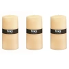 Tag Chapel Ivory Pillar Candles Unscented Long Burning Set Of 3 In Neutral