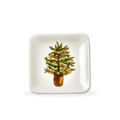 Tag Citrus Tree Decorative Trinket Dish Green Everyday Bowl In White