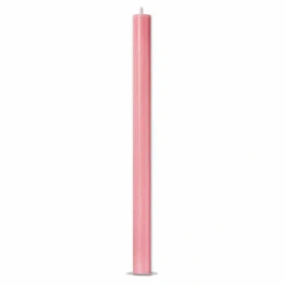 Tag Color Studio Pink Straight Taper Unscented Paraffin Candle