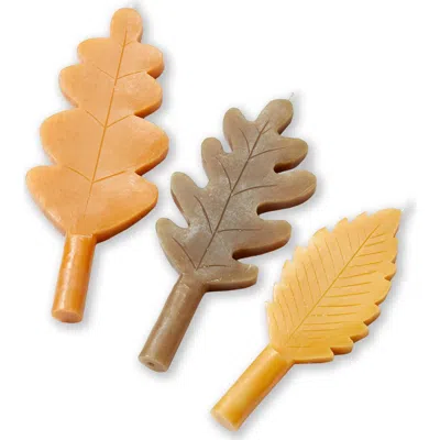 Tag Fall Leaf Taper Candles Multicolor Thanksgiving Decor In Brown