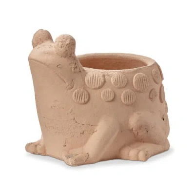 Tag Frog Planter Terracotta Orange Cute Garden Decor In Neutral