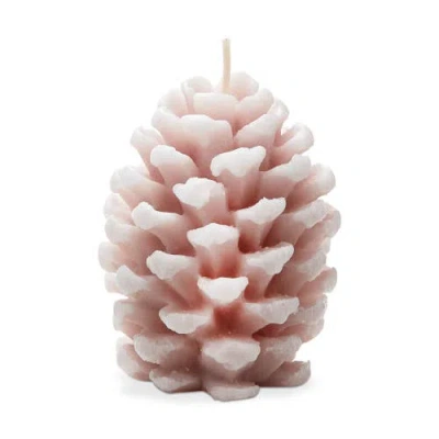 Tag Frosted Pine Cone Blush Candle Sculpted Paraffin Wax In Pink