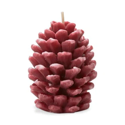 Tag Frosted Pine Cone Terracotta Candle Sculpted Design In Pink
