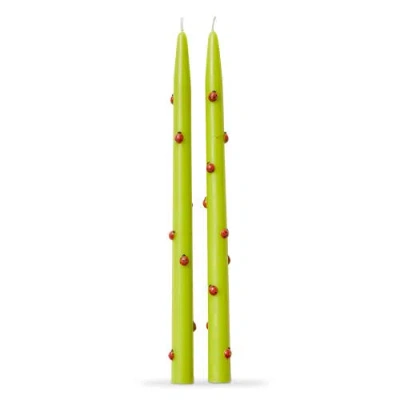 Tag Garden Ladybug Hand Painted Taper Candles Set Of Six In Green