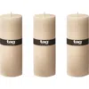 Tag Ivory Pillar Candles Unscented Drip-free Long Burning Set In Brown