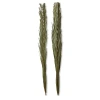 Tag Khajur Leaves Set Of 2 Artificial Flower Stems For Decor In Green