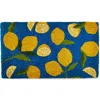 Tag Lemons Coir Mat Multi Coir Everyday