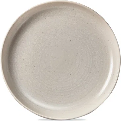 Tag Loft Speckled Reactive Glaze Stoneware Dinner Plate Matte White In Neutral
