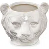 Tag Mountain Lion Ceramic Planter White Garden Pot Indoor Outdoor In White