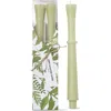 Tag Orbit Sculpted Olive Green Taper Candles Set Of 2 In Green