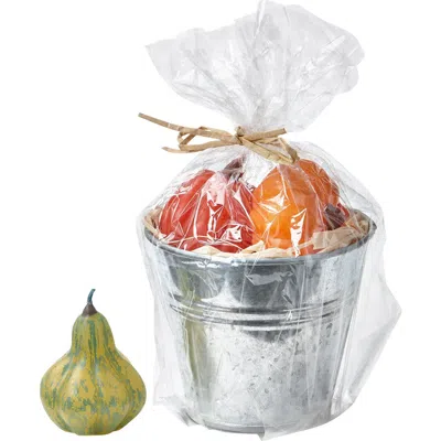 Tag Pumpkin Patch Mini Candle Pail Sculpted Fall Decor Multicolor