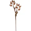 Tag Rose Hip Spray Artificial Flower Stems For Fall Decor In Brown