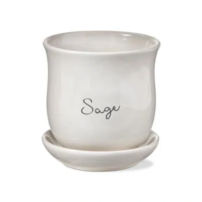 Tag Sage Ceramic Planter With Saucer Set Multicolor Garden Pots In White