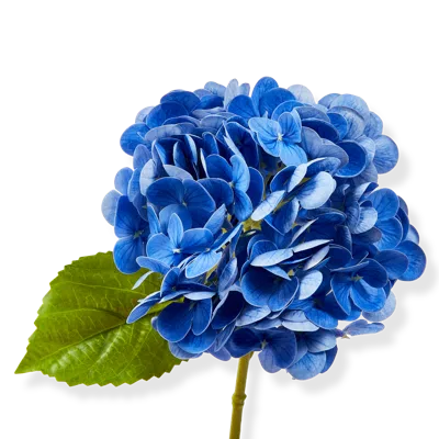 Tag Soft Touch Faux Hydrangea Stem Blue Blue Plastic Spring