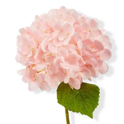 Tag Soft Touch Faux Hydrangea Stem Pink Pink Plastic Spring
