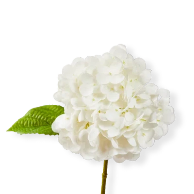 Tag Soft Touch Faux Hydrangea Stem White White Plastic Spring