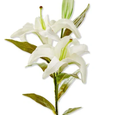 Tag Soft Touch Faux Lily Stem White White Plastic Spring In Multi