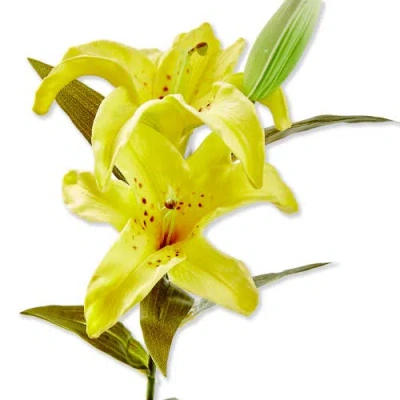 Tag Soft Touch Faux Yellow Lily Stem