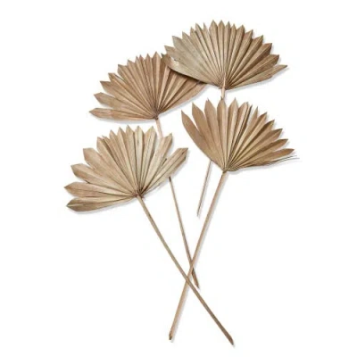 Tag Sun Spear Stick Decorative Sculptures Set Of Four Natural Decor In Brown