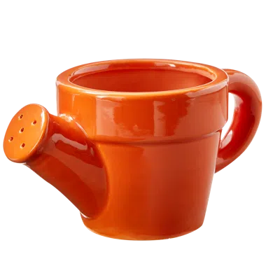 Tag Watering Can Planter Orange Orange Stoneware Spring In Multi