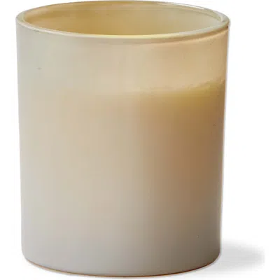 Tag Wild Fern Roses Scented Candle Multicolor Wax Home Fragrance In Neutral