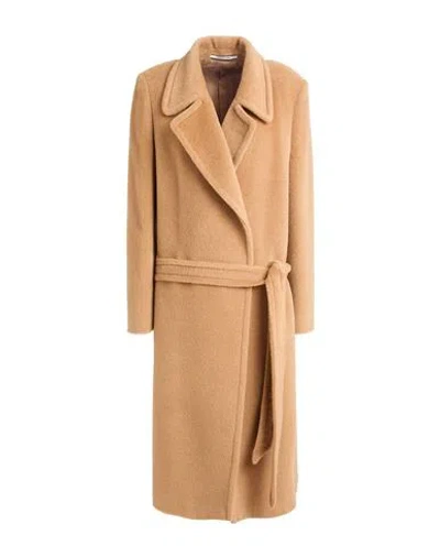 Tagliatore 02-05 Woman Coat Camel Size 4 Alpaca Wool, Virgin Wool In Sand