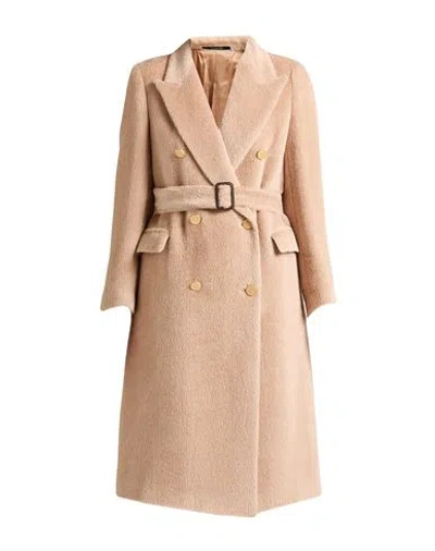 Tagliatore 02-05 Woman Coat Light Brown Size 6 Alpaca Wool, Virgin Wool