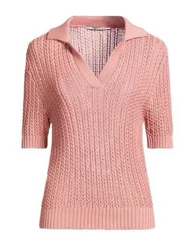 Tagliatore 02-05 Woman Sweater Blush Size 4 Cotton In Pink