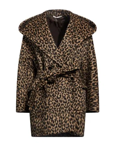Tagliatore 02-05 Woman Coat Brown Size 4 Virgin Wool, Mohair Wool, Polyamide