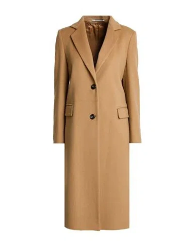 Tagliatore 02-05 Woman Coat Camel Size 4 Cashmere In Beige