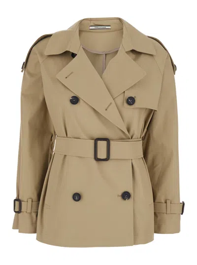 Tagliatore Beige Double-breasted Short Trench Coat With Wide Notched Revers And Front Belt In Cotton Stretch Wo In Brown