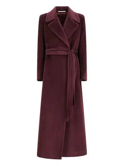 Tagliatore Belted Coat In Burgundy