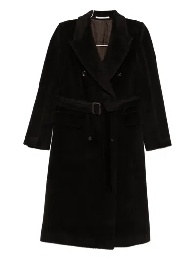 TAGLIATORE BELTED DOUBLE-BREASTED COAT