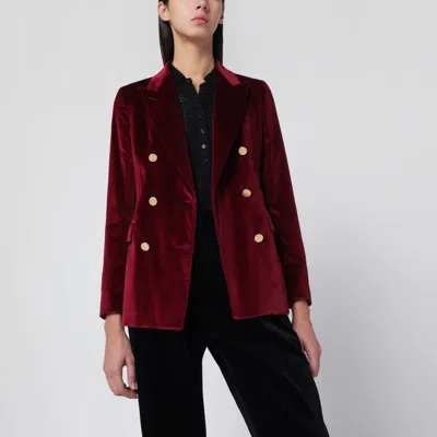Tagliatore Burgundy Velvet Double-breasted Jacket In Brown