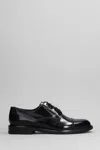 TAGLIATORE TAGLIATORE CASEY LACE UP SHOES